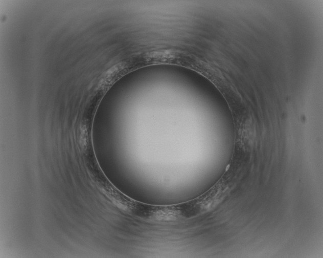 X0000074300708200609011447