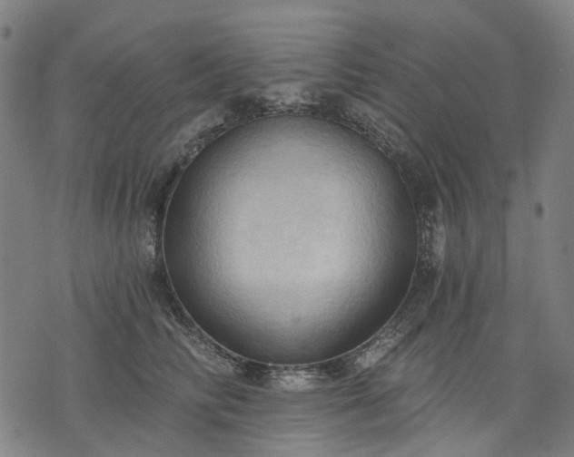 X0000074300710200609011447