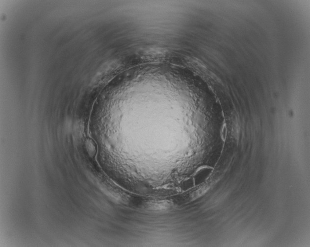X0000074300711200609011447