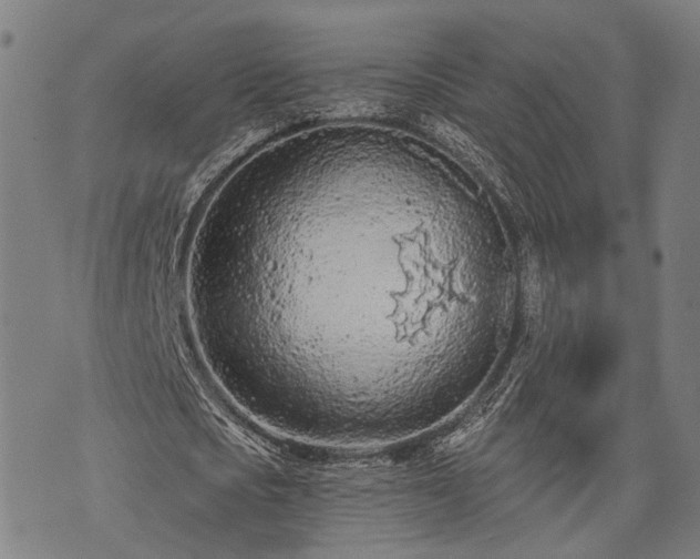 X0000074300721200609011446