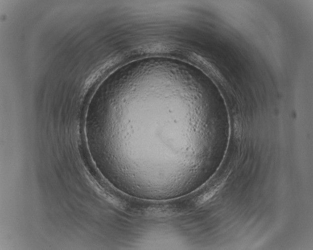 X0000074300725200609011446