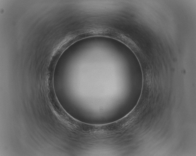 X0000074300730200609011446