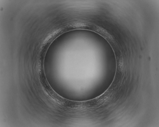 X0000074300732200609011446