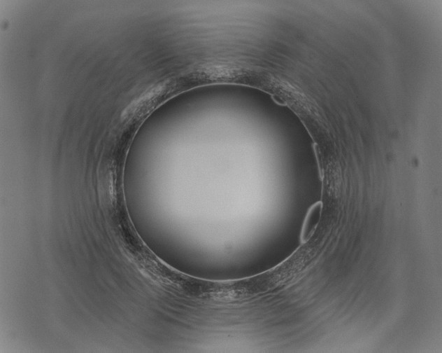X0000074300740200609011446