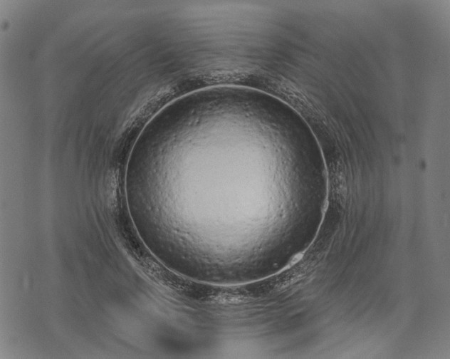 X0000074300742200609011446