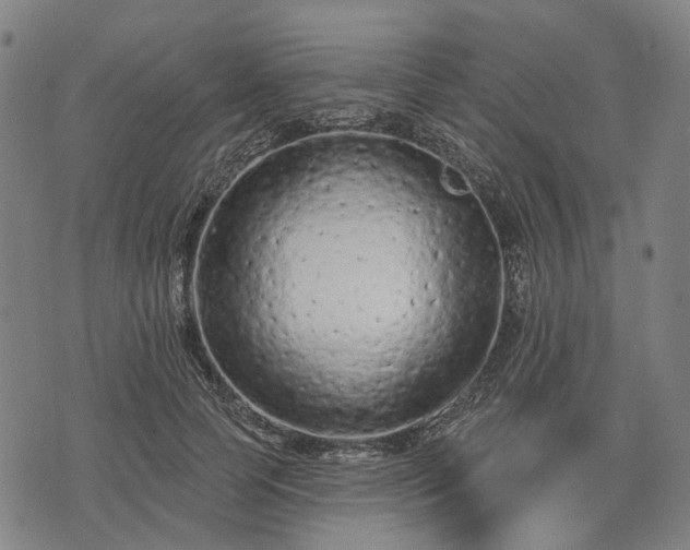 X0000074300745200609011446