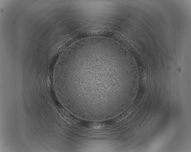 X0000074300746200609011446