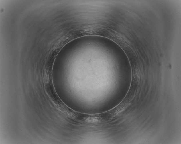 X0000074300751200609011447