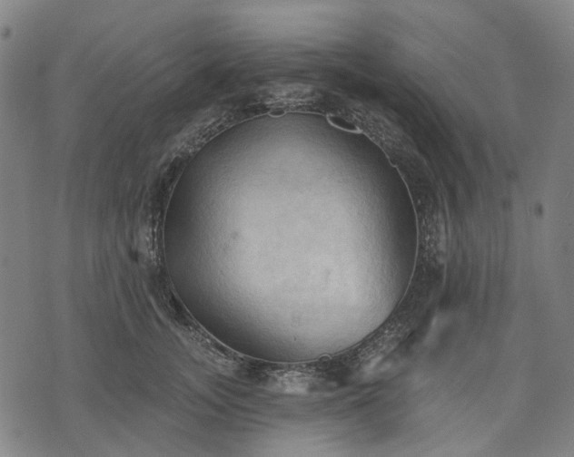 X0000074300755200609011447