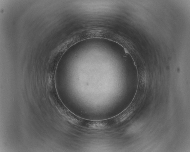 X0000074300759200609011447