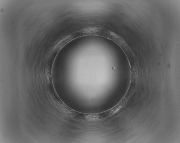 X0000074300762200609011447