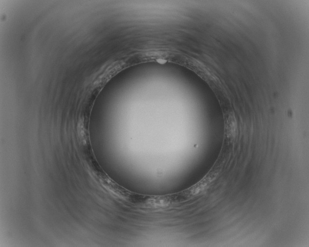 X0000074300764200609011447