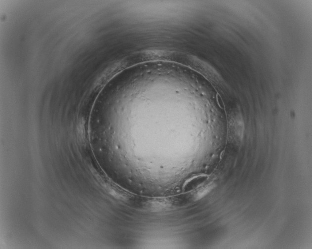 X0000074300765200609011447
