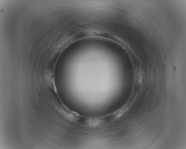 X0000074300766200609011447