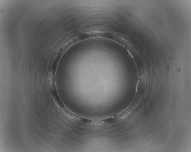 X0000074300767200609011447