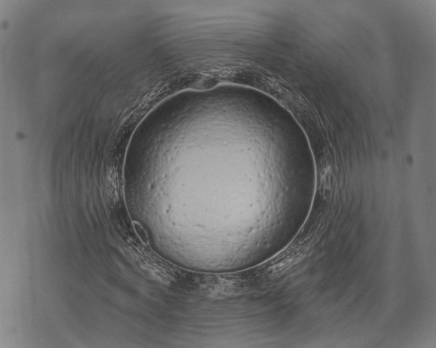 X0000074300772200609011446