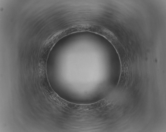 X0000074300773200609011446