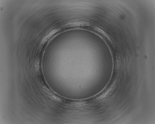 X0000074300778200609011446