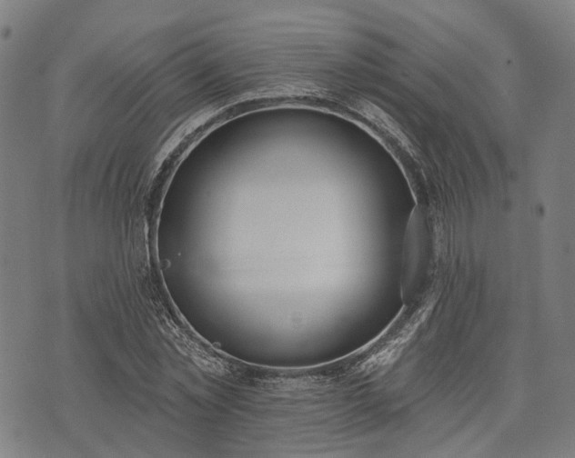 X0000074300781200609011446