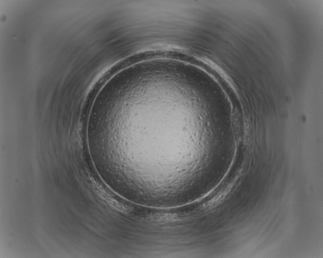 X0000074300783200609011446
