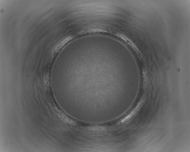 X0000074300785200609011446