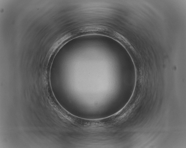X0000074300786200609011446