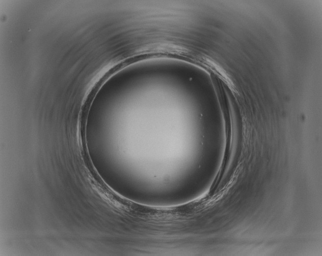 X0000074300788200609011446