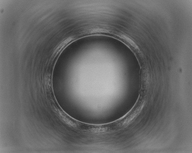 X0000074300793200609011446
