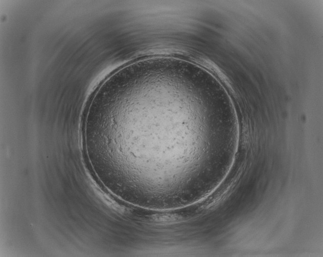 X0000074300795200609011446