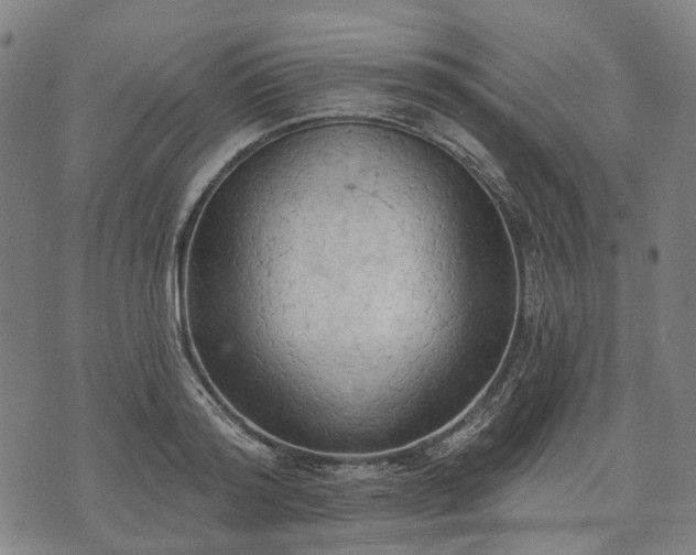 X0000074300796200609011446