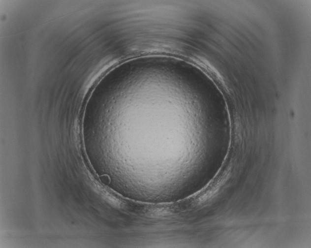 X0000074300798200609011446