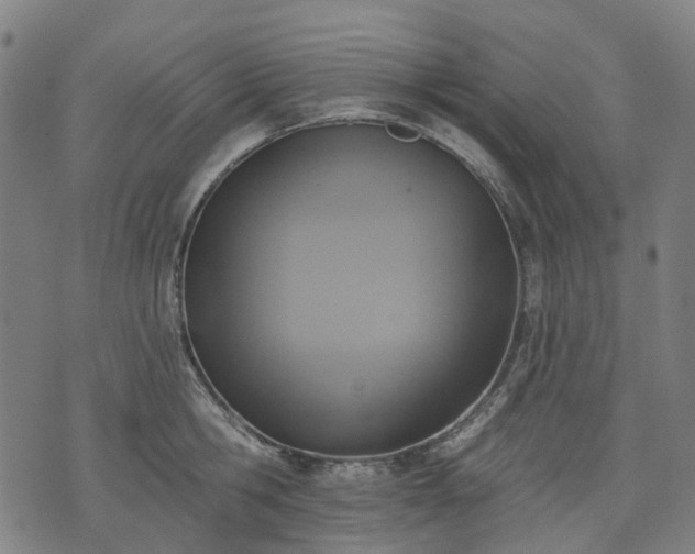X0000074300806200609011445