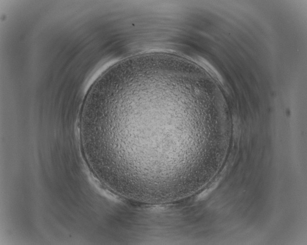 X0000074300814200609011445