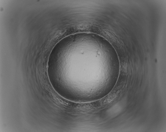 X0000074300817200609011445