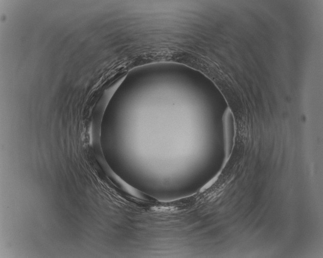 X0000074300818200609011445