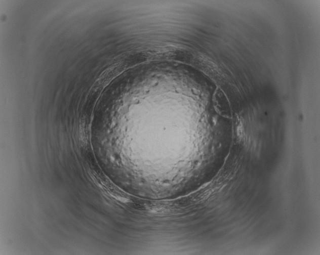 X0000074300819200609011445