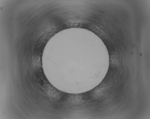 X0000074300820200609011445