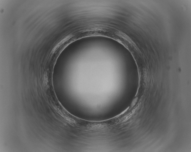 X0000074300826200609011445