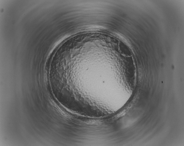 X0000074300835200609011445