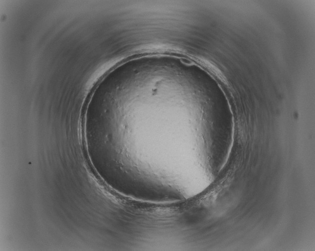 X0000074300839200609011445