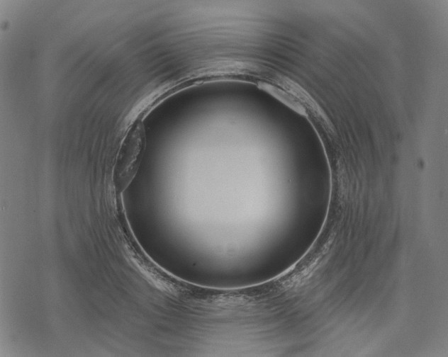 X0000074300842200609011445