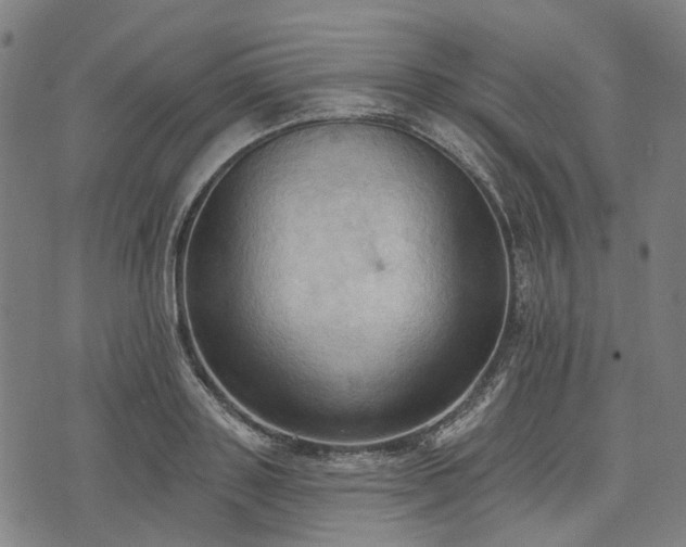 X0000074300843200609011445