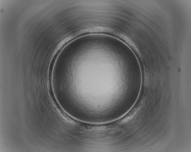 X0000074300845200609011445