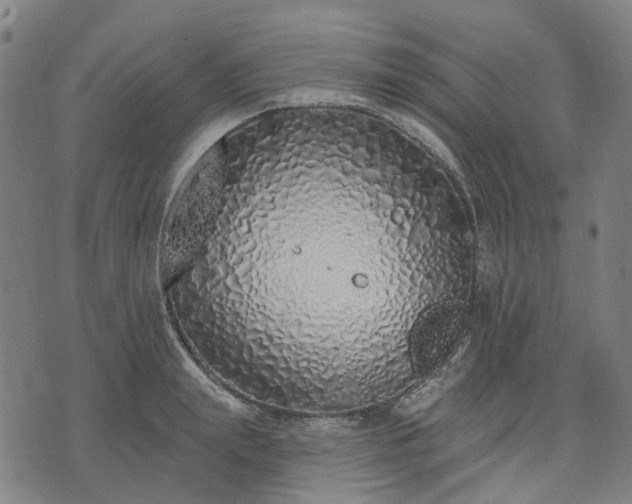 X0000074300847200609011445