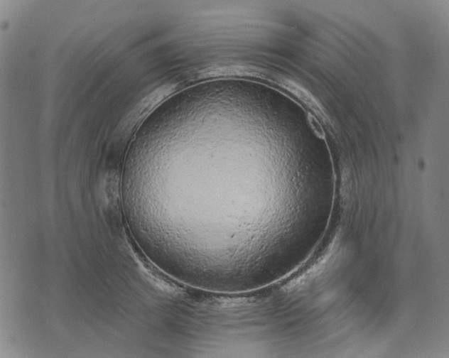 X0000074300849200609011445