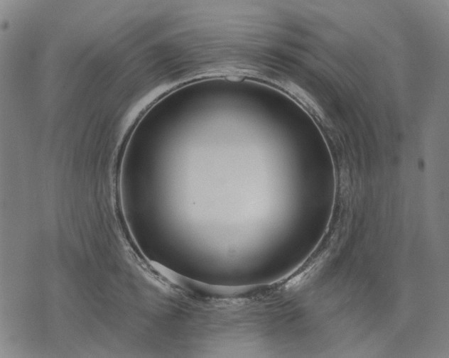 X0000074300854200609011445