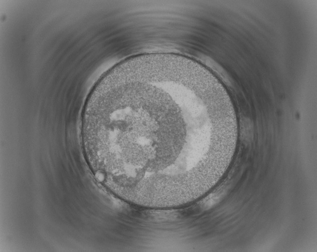 X0000074300856200609011445