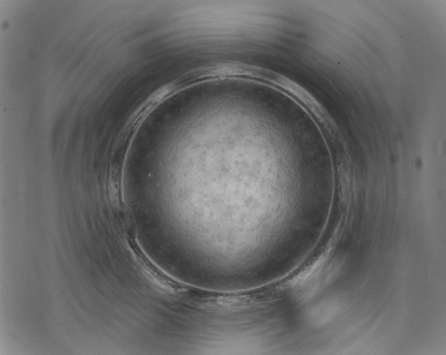 X0000074300857200609011445
