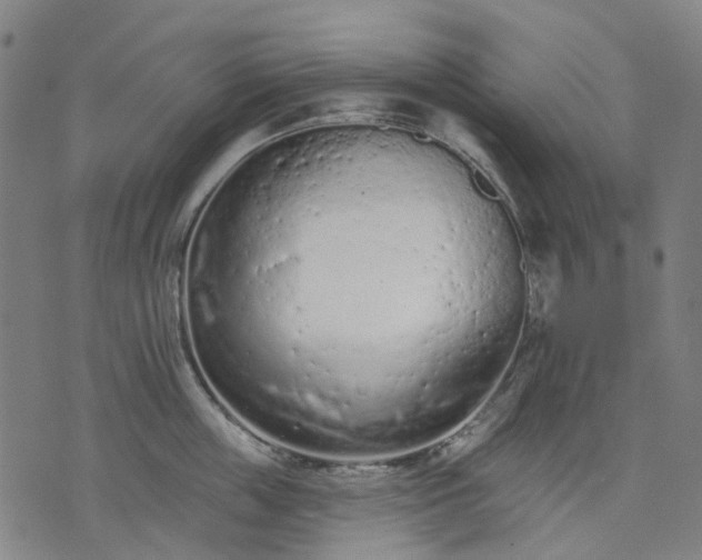 X0000074300859200609011445