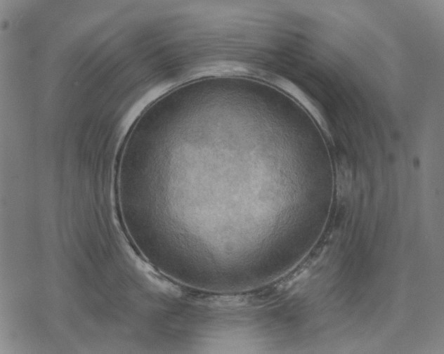 X0000074300861200609011445